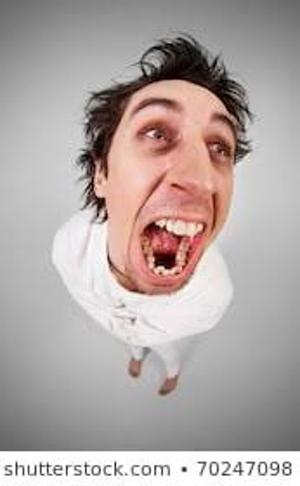 Theatre Rhinoceros Presents INSANE DIRECTOR! Image