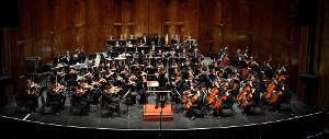 New Jersey Youth Symphony to End Season With Saint-Saëns' Organ Symphony 