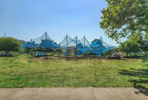 Artpark to Unveil Two New Public Artworks This Fall Image