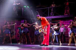 Samantha Williams To Host Screening Of First Amateur Production Of FELA! 