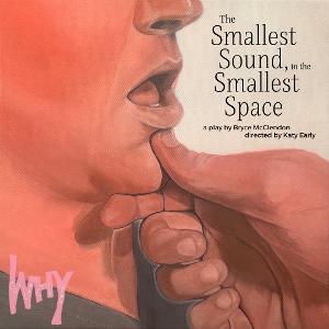 The Why Collective Adds Performance For Bryce McClendon's THE SMALLEST SOUND, IN THE SMALLEST SPACE 