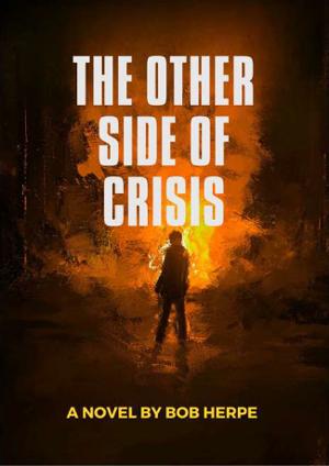 Bob Herpe Releases His Second Book THE OTHER SIDE OF CRISIS Image