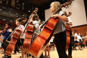 Musicopia String Orchestra Will Hold First Concert of the Season in February Image