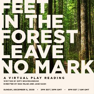 Live Virtual Reading of FEET IN THE FOREST LEAVE NO MARK to be Presented in December 