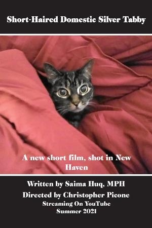 King Lahiri Productions Announces Filming Of SHORT-HAIRED DOMESTIC SILVER TABBY 