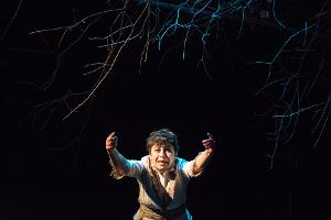 Spooky Aunty Leaf Returns For Encore In English And Spanish At Ancram Opera House Image