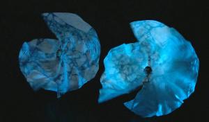 Jody Sperling/Time Lapse Dance Returns To The Stage With Show In Philadelphia Image
