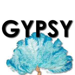 GYPSY to Open At Music Mountain Theatre  Image