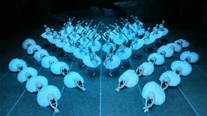 Shanghai Ballet And China Arts And Entertainment Group Ltd Present GRAND SWAN LAKE Image