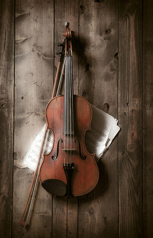 Quartet 131 To Play Works by Schubert & Bloch At Merkin Hall Image