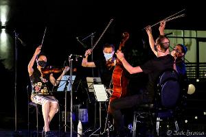 Tesla Quartet to Return To The Morris Museum's Lot Of Strings Music Festival 