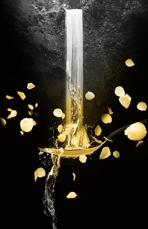 KSU's Theatre and Performance Studies To Present WATER BY THE SPOONFUL 