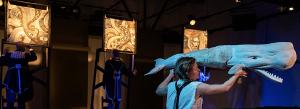 Cabinet Of Curiosity Announces SEA CHANGE Image