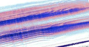 CHARTS & GRAPHICS Concert to be Performed This January Image