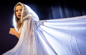 THE SNOW QUEEN Brings Seasonal Magic To Arden Theatre Company Image
