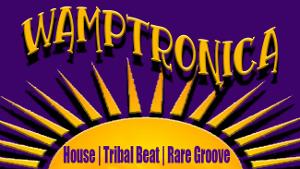 WAMPTRONICA Brings A Dance Party Vibe To Cotuit Image