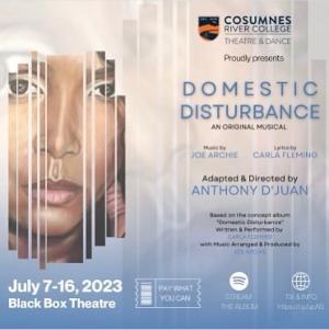 New Musical DOMESTIC DISTURBANCE Premieres At Black Box Theatre, July 7-16 Image