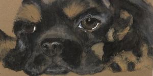 Morven to Host The Art Of The Dog, Portrait Workshop Image