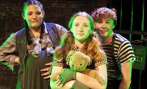 The Academy Of The Company Theatre to Present URINETOWN in July Image
