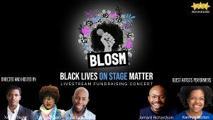 DMR Adventures Introduces The New Livestream Concert Series: BLACK LIVES ON STAGE MATTER  Image