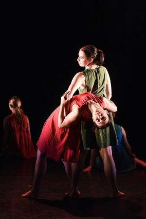 Dublin Youth Dance Company to Present Winter Gala Featuring Talented Ensembles Image