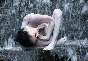 Maureen Fleming Company Presents Live DANCES FROM HOME This Month Image