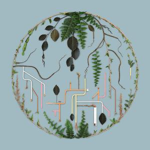 El Búho Release 'Tributaries Vol. 2' Remix Compilation With Wonderwheel Recordings Image