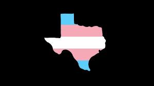 Trans & Nonbinary Performers And Cis Allies Come Together For You Are Loved - A Concert Benefiting Trans Youth In Texas Image