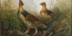 Morven Museum & Garden Presents IN NATURE'S REALM Virtual Opening Reception & Curator Walk Image