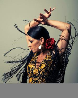 Nai-Ni Chen Dance Company Announces The Bridge Classes March 29-April 2 Image