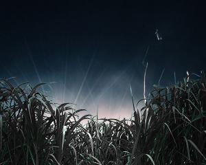 Tim Ruddy and Gina Costigan Lead THE LONG WET GRASS Audio Adaptation Image
