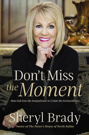 Sheryl Brady's New Book DON'T MISS THE MOMENT is Out Now 