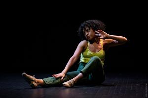 FringeArts Announces Full Details for 2021 Philadelphia Fringe Festival Image