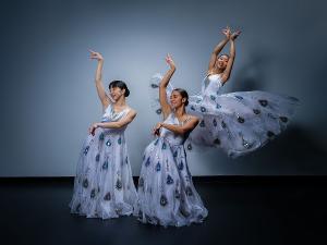Marietta College to Present Nai-Ni Chen Dance Company as Part of The Ebenshade Series 
