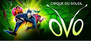 OVO From Cirque Du Soleil Announced At Thompson-Boling Arena For 7 Performances Only Image