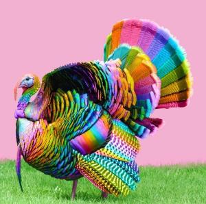 Theatre Rhinoceros Presents GAY PILGRIM Image