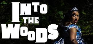 Passion Projects Theatre Company Presents INTO THE WOODS Image