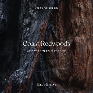 Elsa Nilsson Releases New Album COAST REDWOODS 41°32'09.8”N 124°04'35.5”W Image