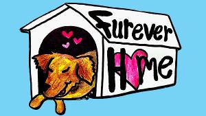 FUREVER HOME Comes to The Players Theatre  Image