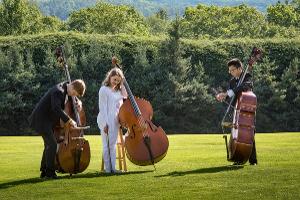 Boston University Tanglewood Institute Announces New Program Offerings And Repertoire Image