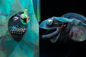 BLUEBACK Comes to Claremont Showground Next Month Image