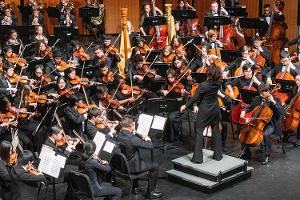 New Jersey Youth Symphony Announces Video Auditions Image