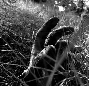 Outdoor Immersive Theatre Comes to Kent With ROTTEN STATES Image