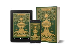 Suhaib Rumi Releases New Revised And Expanded Edition Of His Poetry Collection EMERALD COMPANION Image