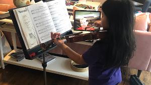 Music Conservatory Of Westchester To Present Virtual Concert For The Community Image
