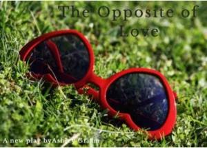 THE OPPOSITE OF LOVE Will Have NYC Workshop and Private Reading Image