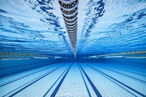 THE SWIMMER Will Stream From Theatre Rhinoceros Image