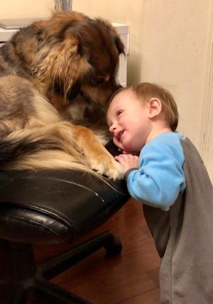 Bravo The Theatre Dog Celebrates International Dog Day! Image