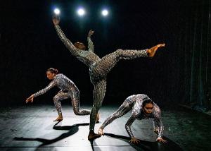 Arts On Site Set to Present APAP ALL WOMEN CHOREOGRAPHER APAP SHOWCASE SERIES Image