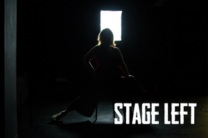 STAGE LEFT, A Documentary Web Series That Explores Theatre And Community, Will Debut In 2020  Image